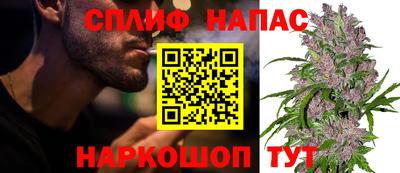 прущие грибы Коммунар
