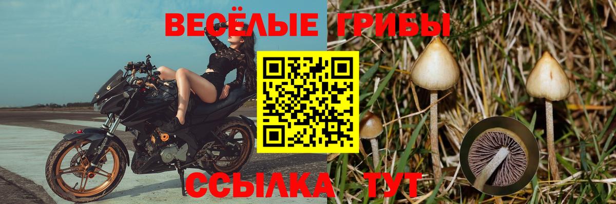 Псилоцибиновые грибы Magic Shrooms  Вход с VPN  Псилоцибиновые грибы Magic Shrooms  даркнет сайт  Северобайкальск 